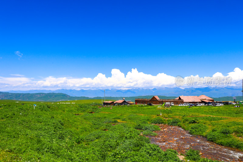 春季草原治愈大自然风景