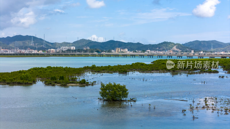 惠州盐洲海洋湿地公园-红树林湿地风光