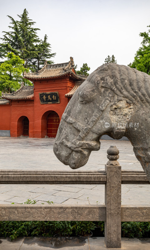 洛阳白马寺入口门白马石狮子景点景观