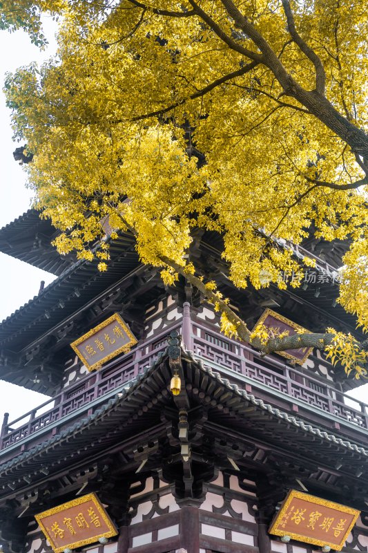 江苏省苏州寒山寺风景区的风光