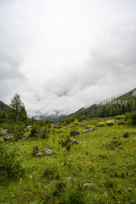 四川四姑娘山双桥沟自然风景