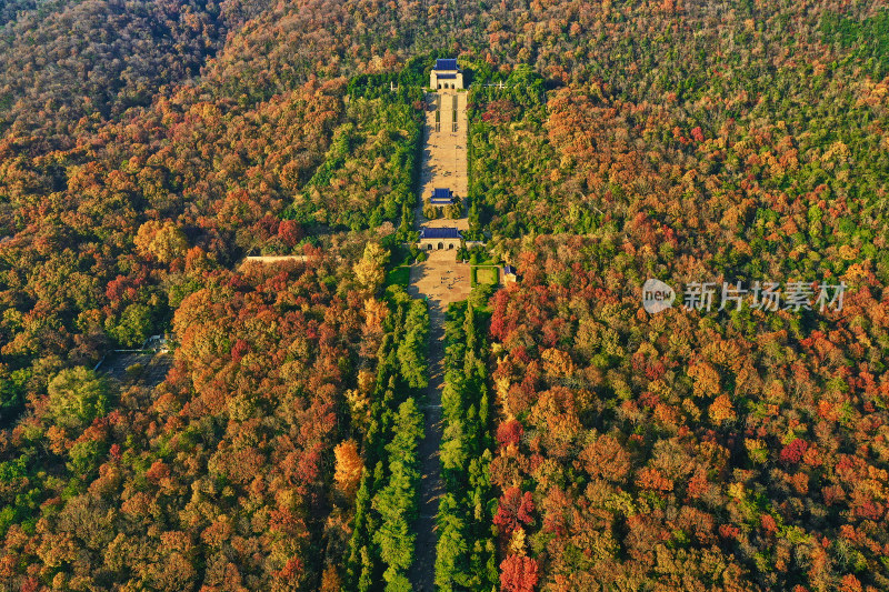 南京钟山的秋天美景