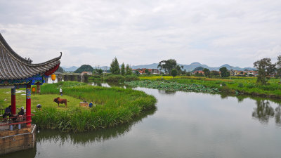 云南普者黑湿地公园