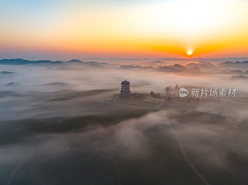 贵州遵义湄潭茶海