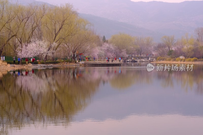 风景系列