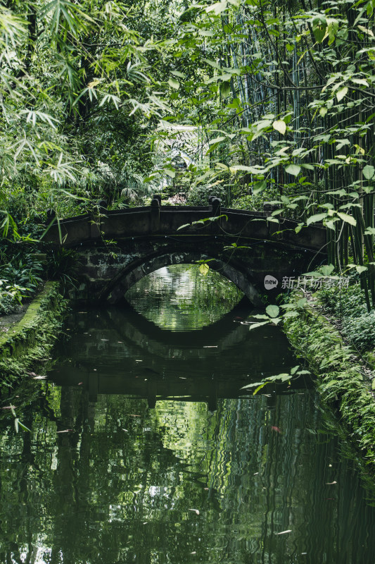 幽静竹林池塘古桥倒影