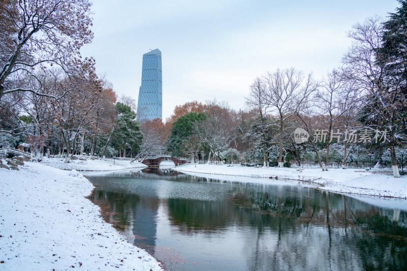 武汉冬天解放公园雪景