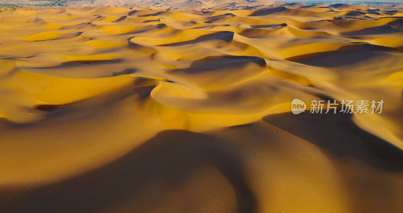 沙漠 沙海 落日