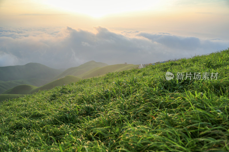 唯美清晨高山日出云海 武功山高山草甸