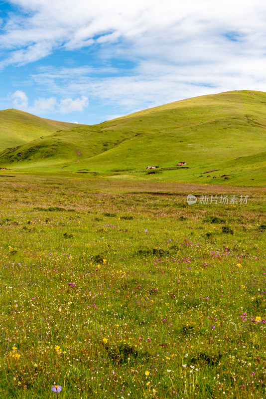 蓝天白云草原风景