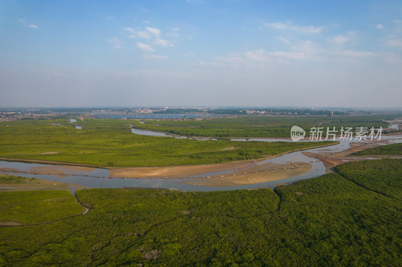 湛江高桥红树林保护区