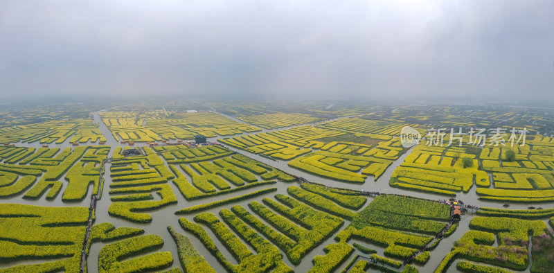 江苏扬州千垛油菜花金黄色运河航拍