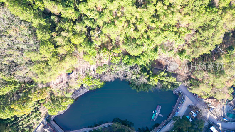 绿色植物森林山川森林航拍图