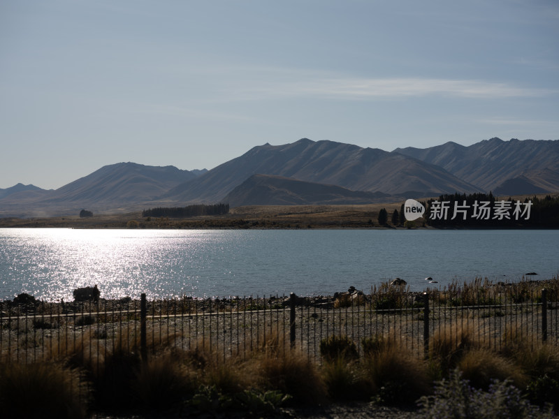 新西兰Lake Tekapo蒂卡波湖 纯蓝湖泊