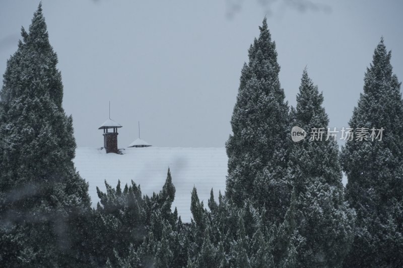 屋顶上的积雪