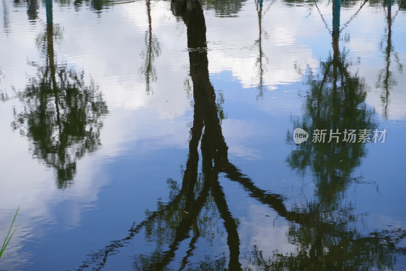 乡村水边绿树倒影景象