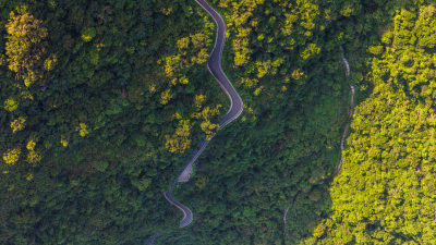 深圳阳台山森林公园