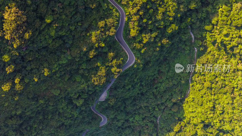 深圳阳台山森林公园