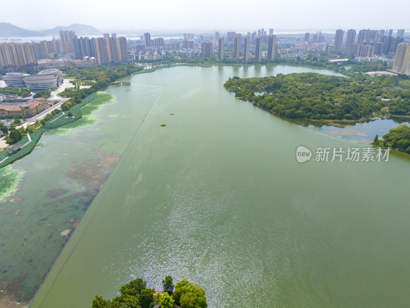 黄冈黄州遗爱湖风光航拍图