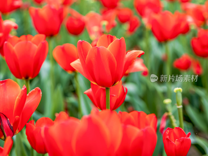 武汉东湖风景区景点风光