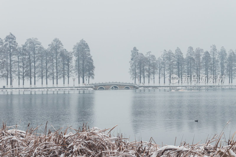 武汉东湖风景区雪景风光