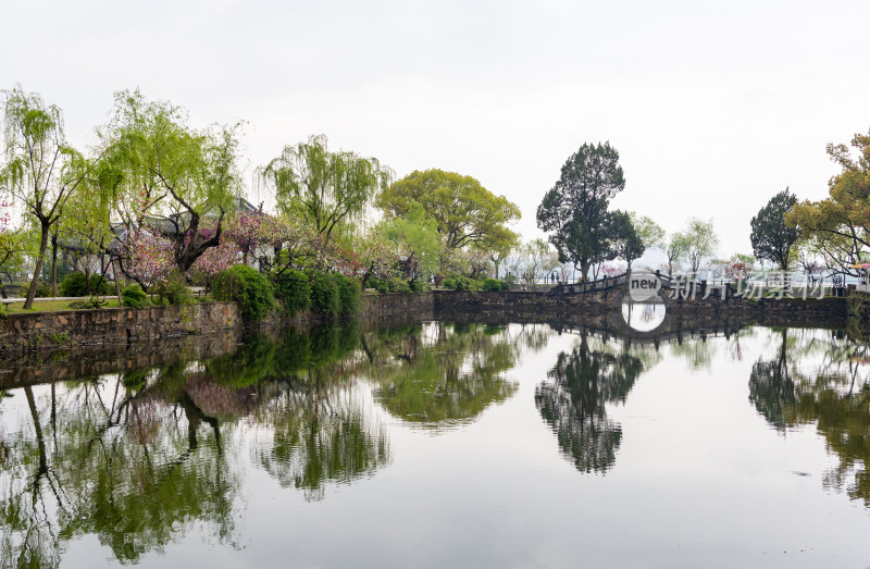 烟雨江南无锡蠡园春色