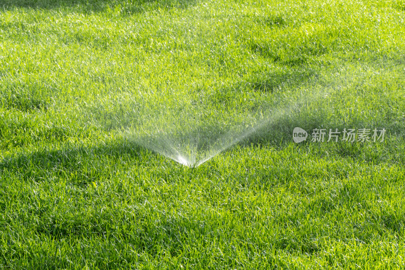 草坪灌溉花洒浇水绿色植被