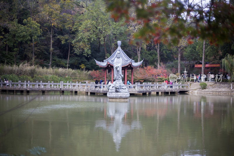 南京栖霞山枫叶景观实拍