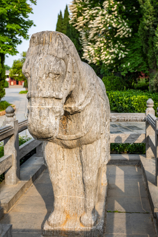 河南洛阳白马寺白马景点景观