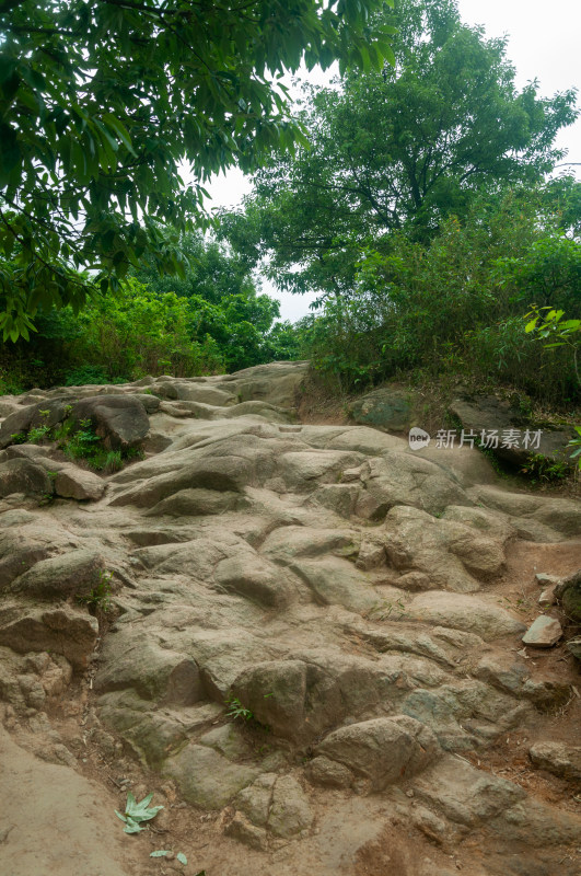 山中的自然风景