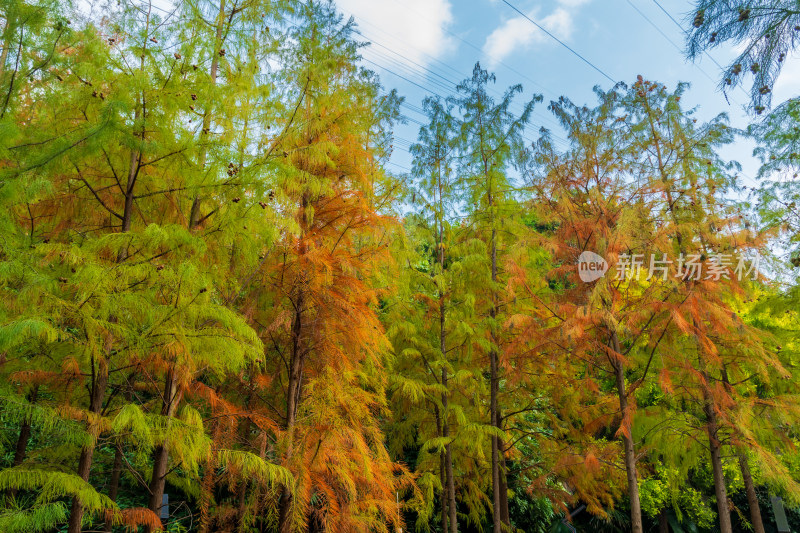 福州福道，一条融合自然与城市风光的步道