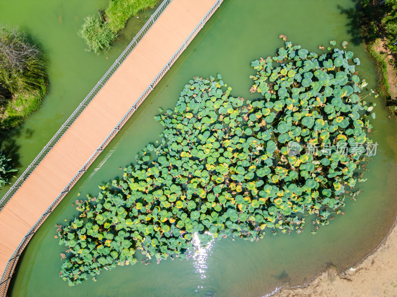 航拍昆明滇池捞鱼河湿地公园景观