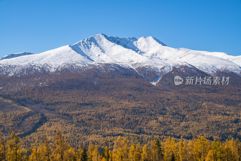 新疆北疆阿勒泰秋日雪山