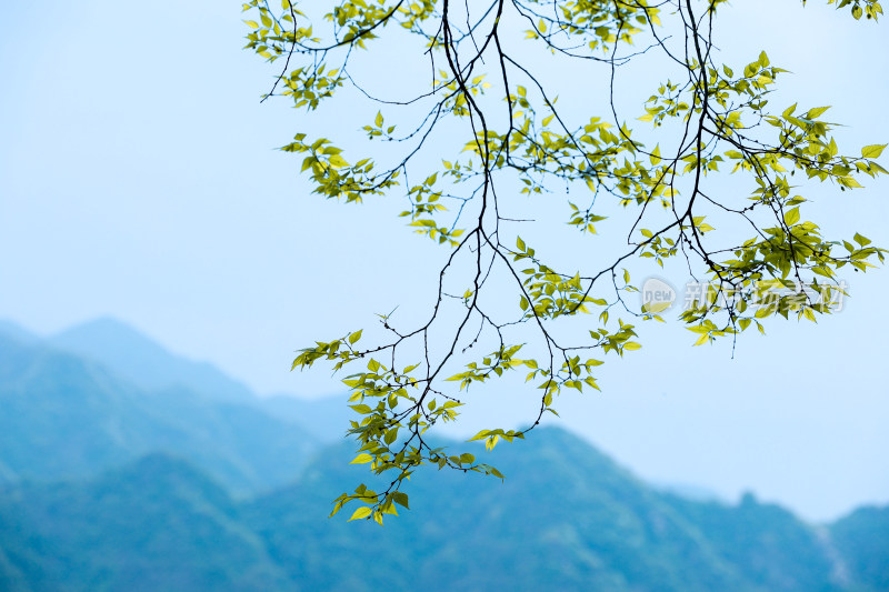 太白山自然风光