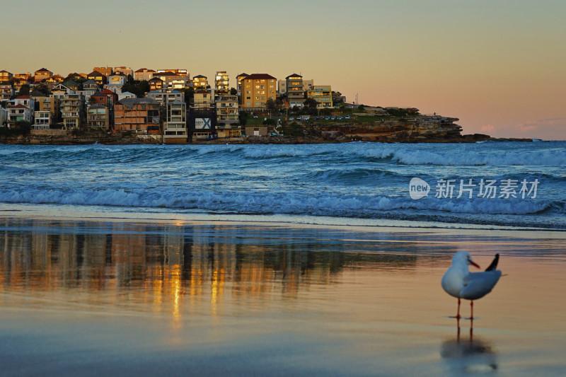 悉尼邦迪沙滩，bondi beach，日落与倒影