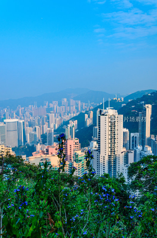 香港太平山顶俯瞰城市高楼建筑群景观