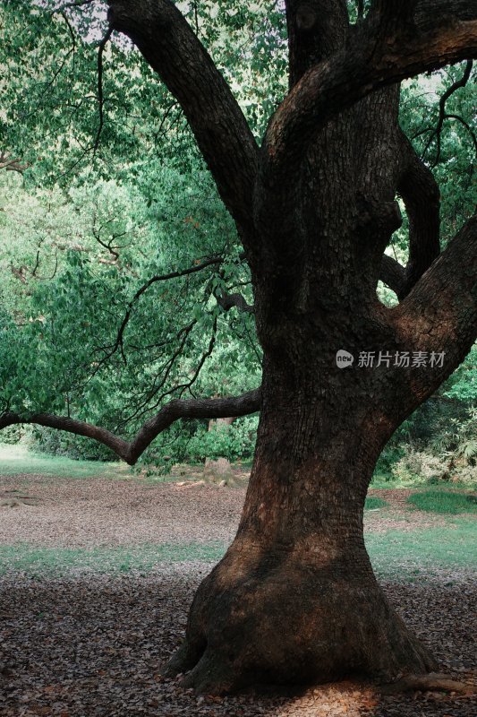 杭州十里琅珰景区