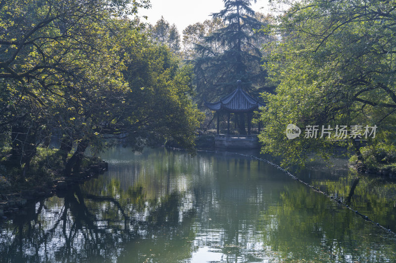 杭州西湖花港观鱼风景