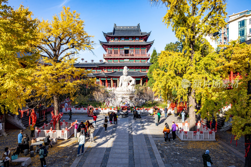 南京毗庐寺秋天屋顶视角下的城市风光与绿植