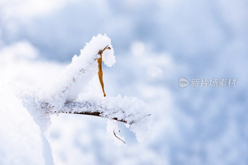 户外冰雪冬天干净图片