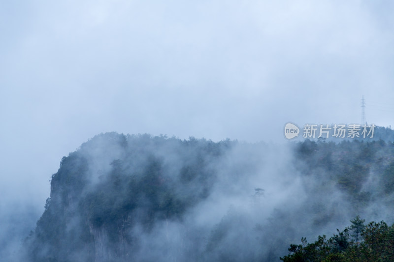 云雾缭绕的高山森林