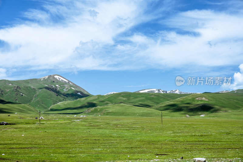 独库公路的草原