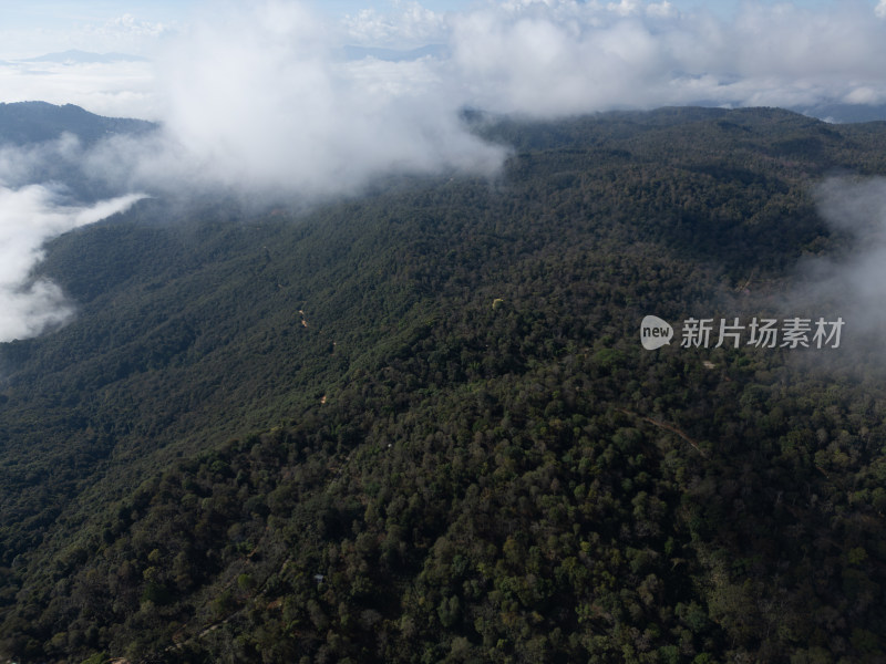 航拍视角下的景迈山云海森林自然风光