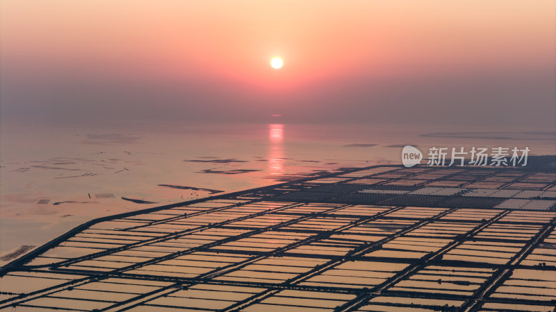 水产养殖：廉江市龙营围万亩虾田