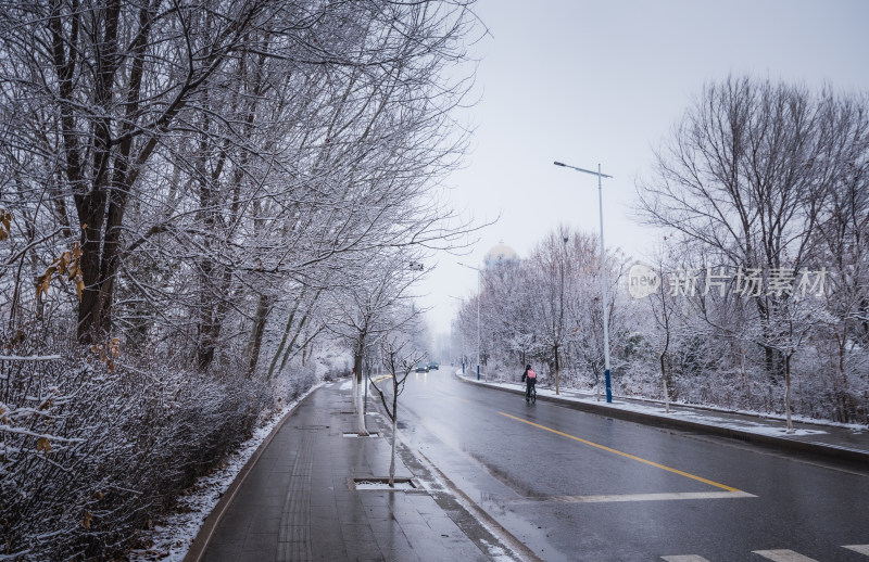 下雪了城市公园自然风景