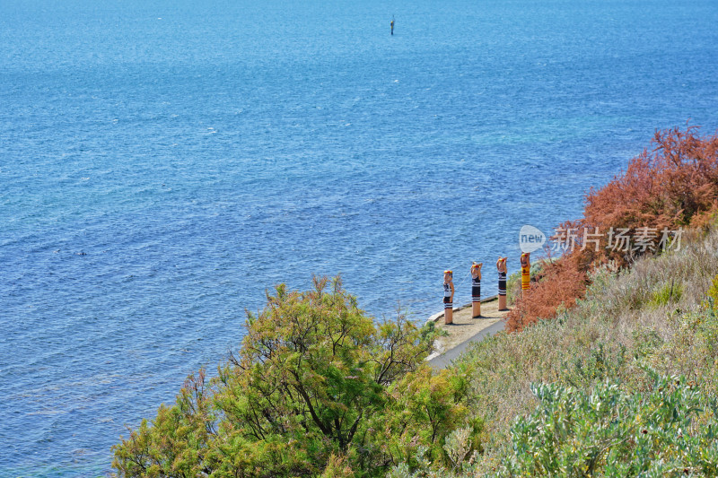 澳大利亚吉朗，彩绘木偶Baywall Bollard