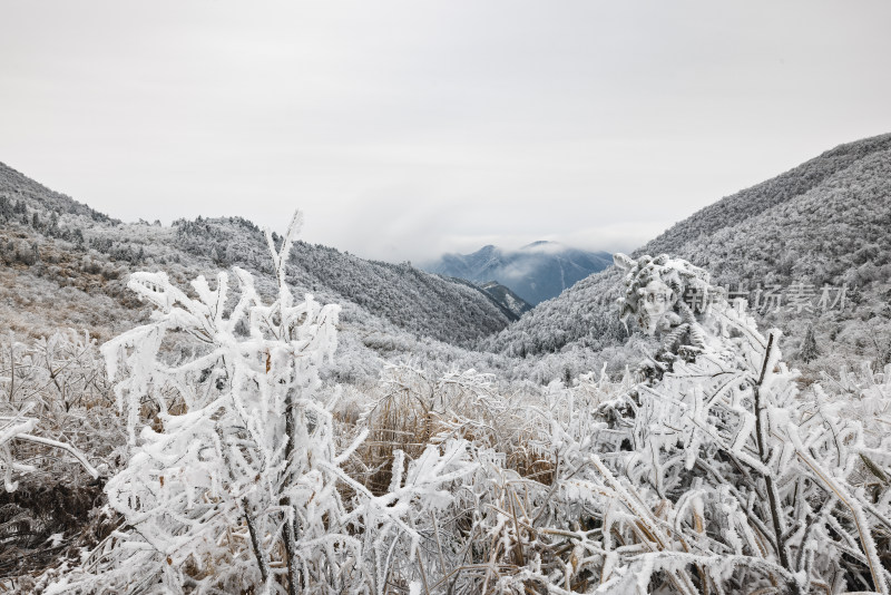 安吉董岭村天目山脉雪景雾凇冻雨云雾