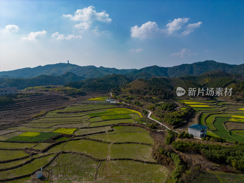 丘陵山川农田油菜花美丽乡村航拍摄影图