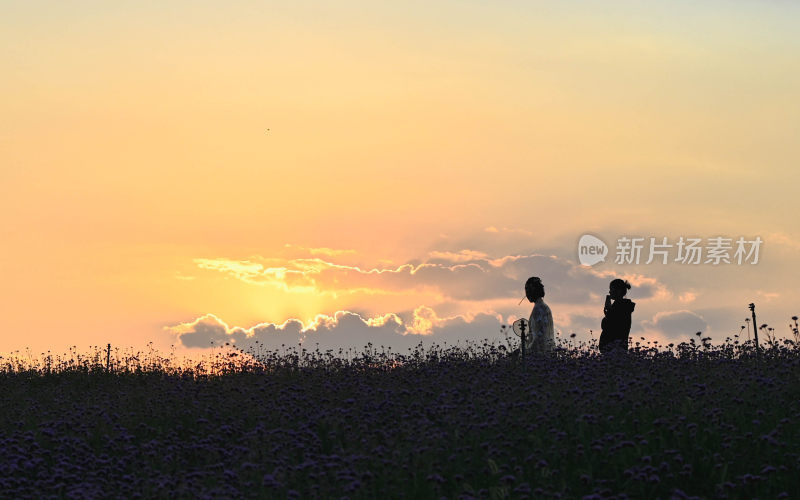 夕阳下两人在花海中的剪影