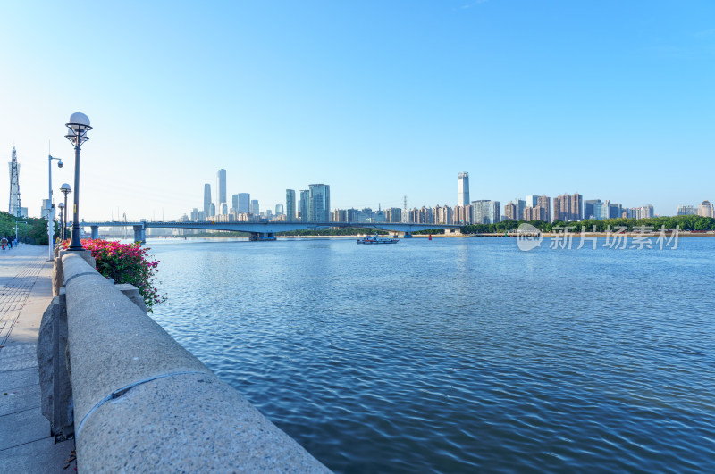 广州琶洲望珠江对岸城市建筑景观